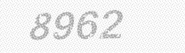 Visual security code — type the characters shown in the image
